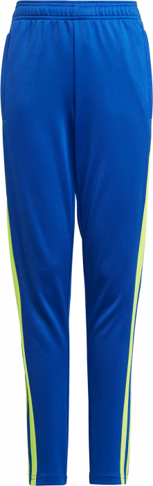 Adidas - Squadra 21 Training Pant Slim Fit - Royal blue & yellow
